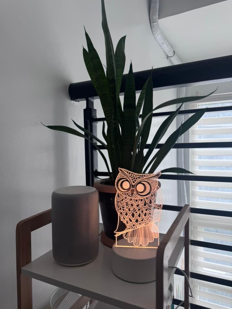 OWL at Eton Emerald Lofts